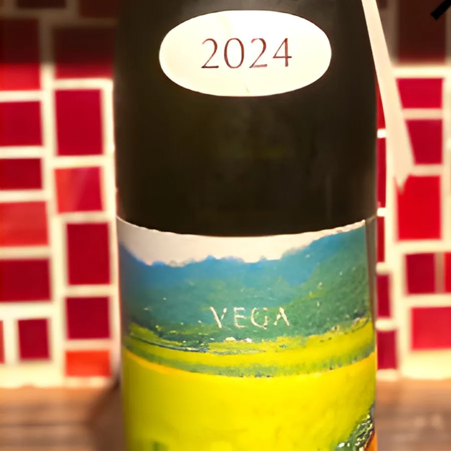 あべ VEGA