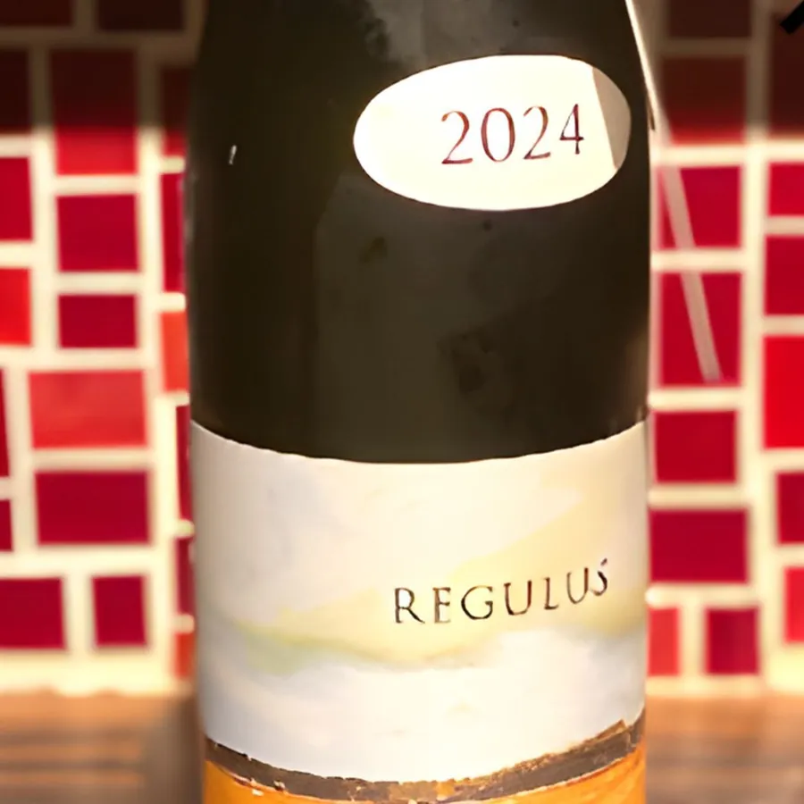 あべ REGULUS