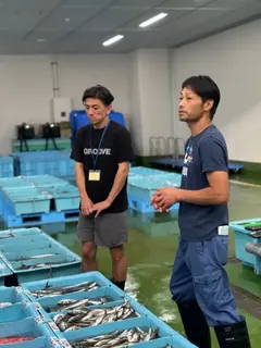 三浦半島【三崎漁港】の直送鮮魚