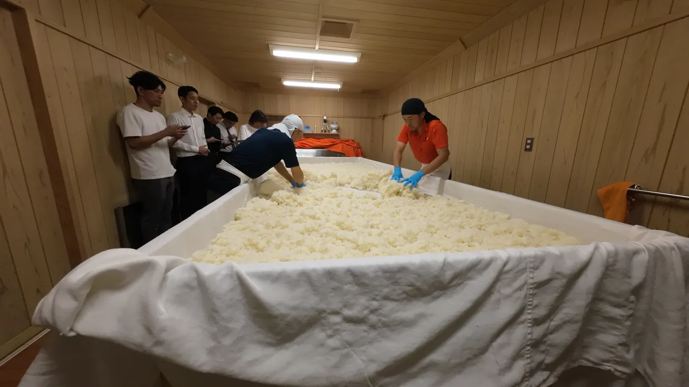 栃木の酒蔵「仙禽」。布の上に広げた米を、蔵人とモルゲンの社員が手で混ぜている